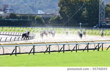 Tokyo Racecourse Dirt Course Tokyo Racecourse Dirt Course 95748043