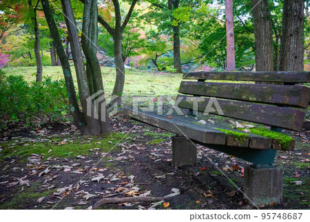 mossy bench in the shade mossy bench in the shade 95748687
