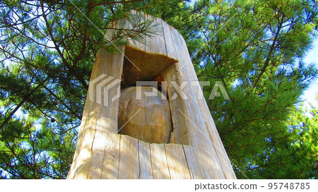 tree apple embedded in tree 95748785