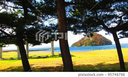 Pine trees on the coast and a small island with colorful autumn leaves 95748786