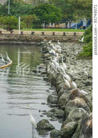 Anping Port Binhua History Park Anping Port Binhua History Park 95749071