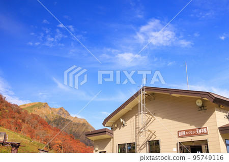 Tanigawadake Ropeway in full bloom 95749116