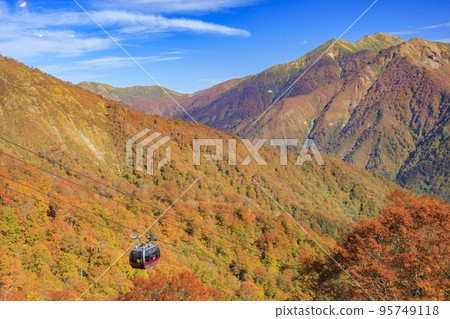 谷川岳索道盛開 95749118