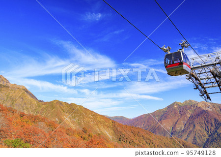 Tanigawadake Ropeway in full bloom Tanigawadake Ropeway in full bloom 95749128