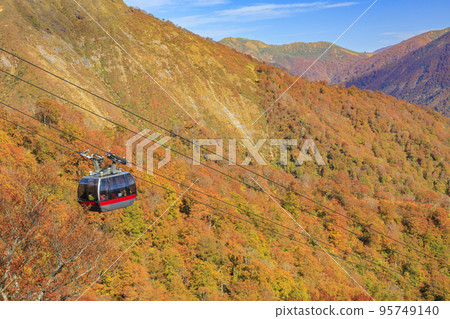 谷川岳索道盛開 谷川岳索道盛開 95749140