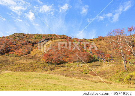 谷川岳索道盛開 谷川岳索道盛開 95749162