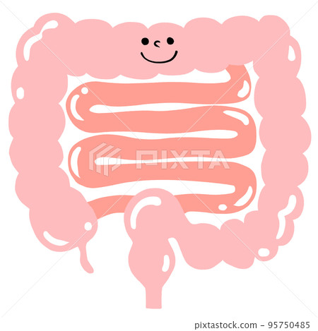 調整腸道環境的插圖（光澤面） 95750485