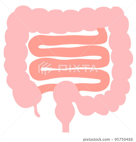 調整腸道環境圖解 95750488