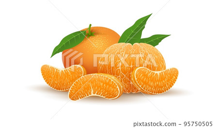 Realistic tangerine fruit Realistic tangerine fruit 95750505