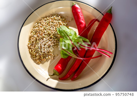 Buckwheat sprouts, chili peppers and Radicchio lettuce leaves in a plate in bright sunlight. Veganuary. Healthy lifestyle. Vegetarianism. Veganism. Gluten-free diet. Buckwheat sprouts, chili peppers and Radicchio lettuce leaves in a plate in bright sunlight. Veganuary. Healthy lifestyle. Vegetarianism. Veganism. Gluten-free diet. 95750748