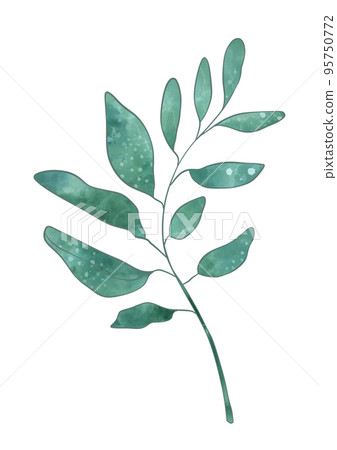 Branch leaves eco green in watercolor style on white background. Leaves on a branch to decorate the Branch leaves eco green in watercolor style on white background. Leaves on a branch to decorate the 95750772