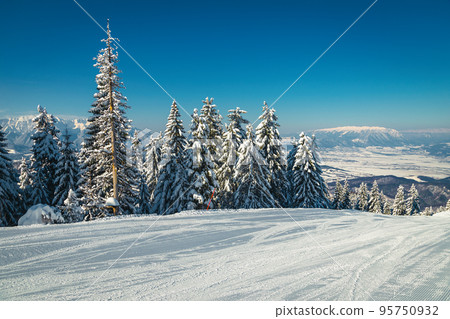 Ski slope and snowy pine forest in the Carpathians, Romania Ski slope and snowy pine forest in the Carpathians, Romania 95750932