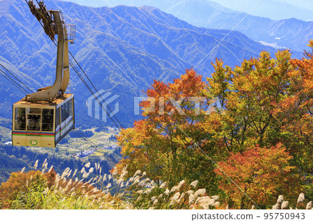 客家山索道秋葉之靜美 95750943