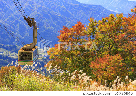 Hakkaisan Ropeway Autumn Leaves 95750949
