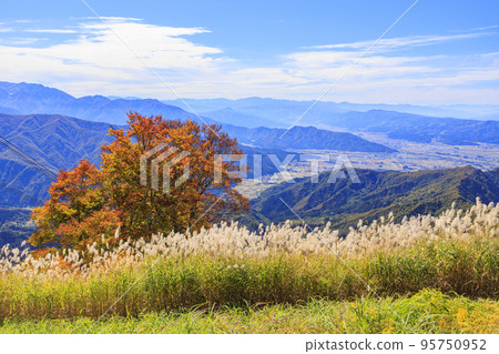 客家山索道秋葉之靜美 95750952