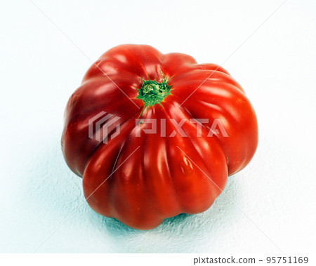 Tomato isolated on white. Ripe red fresh appetizing tomato. Harvest vegetables, Spanish tomatoes. Raf variety, organic vegetables 95751169