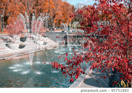 Fountains in Kharkiv city with red autumn trees Fountains in Kharkiv city with red autumn trees 95751893