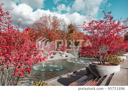 Fountains in Kharkiv city with red autumn trees Fountains in Kharkiv city with red autumn trees 95751896