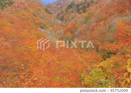 阿牟縣自然公園和紅葉最佳的阿牟濕地 阿牟縣自然公園和紅葉最佳的阿牟濕地 95752009