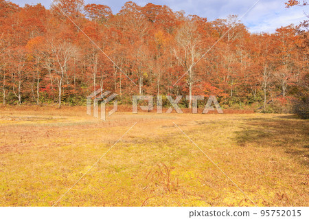 阿牟縣自然公園和紅葉最佳的阿牟濕地 阿牟縣自然公園和紅葉最佳的阿牟濕地 95752015