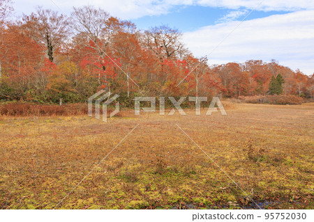 阿牟縣自然公園和紅葉最佳的阿牟濕地 95752030