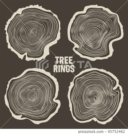 Round tree trunk cuts, sawn pine or oak slices, lumber. Saw cut timber, wood. Brown wooden texture with tree rings. Hand drawn sketch. Vector illustration 95752462