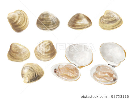 Hand-painted shellfish 01_1 95753116