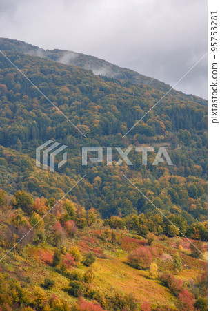 autumnal nature background in mountains. forested hills in colorful foliage. wonderful countryside scenery in dappled light 95753281