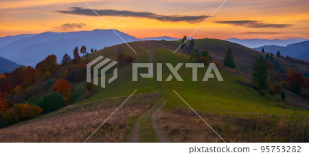 mountain rural landscape at dusk. grassy meadows and forested hills of carpathian countryside scenery on a warm autumn evening. distant range beneath a sky with clouds. explore the beauty of ukraine mountain rural landscape at dusk. grassy meadows and forested hills of carpathian countryside scenery on a warm autumn evening. distant range beneath a sky with clouds. explore the beauty of ukraine 95753282