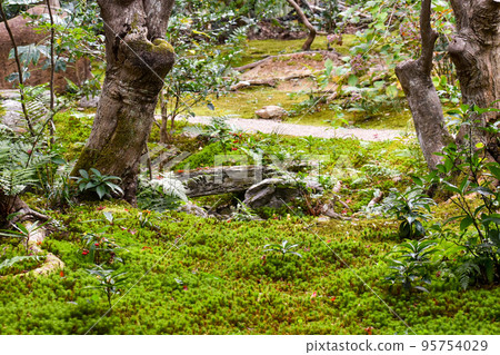 Enrian _ Former site of Teika Fujiwara's villa "Shigure-tei"【A famous place for autumn leaves in Arashiyama】 Enrian _ Former site of Teika Fujiwara's villa "Shigure-tei"【A famous place for autumn leaves in Arashiyama】 95754029