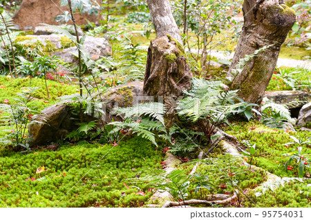 Enrian _ Former site of Teika Fujiwara's villa "Shigure-tei"【A famous place for autumn leaves in Arashiyama】 95754031