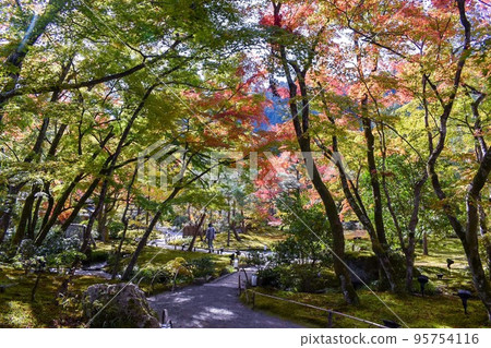 [寶嚴院] Shishiku庭園的紅葉_秋天嵐山[京都的旅遊景點] 95754116