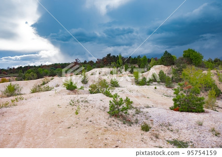 Deforestation in the woods with sandy slopes 95754159