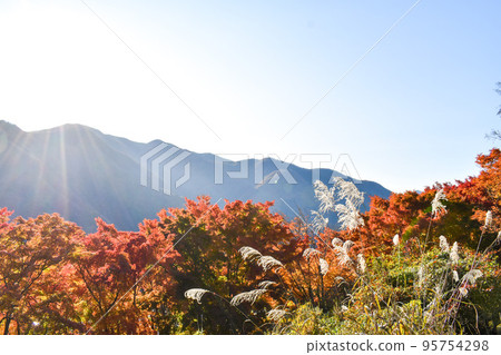 【三峰神社的紅葉】秩父秋季觀光_藍天絕景 【三峰神社的紅葉】秩父秋季觀光_藍天絕景 95754298