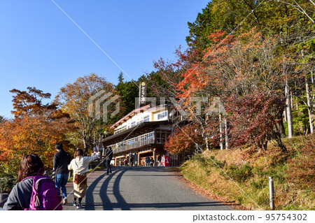 [Autumn Leaves at Mitsumine Shrine] Sightseeing in Chichibu in Autumn_Blue Sky and Superb View 95754302