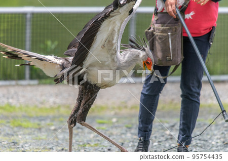 secretary show 95754435