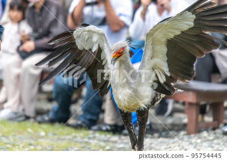 secretary show 95754445