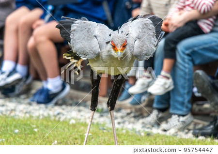 secretary show 95754447