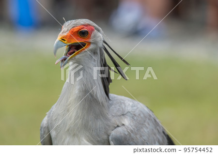 秘書秀 秘書秀 95754452