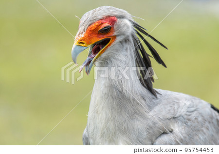 secretary show secretary show 95754453