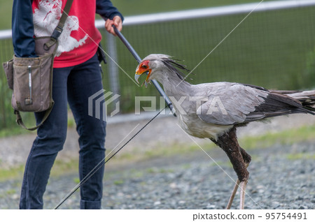 secretary show 95754491