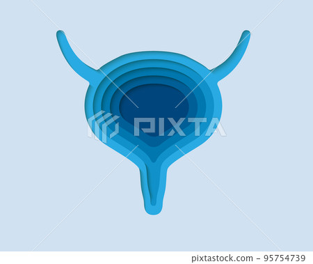 Bladder 3d symbol in paper cut style. Reproductive system, human transplantation design. Organ anatomy cut out of paper banner. 95754739