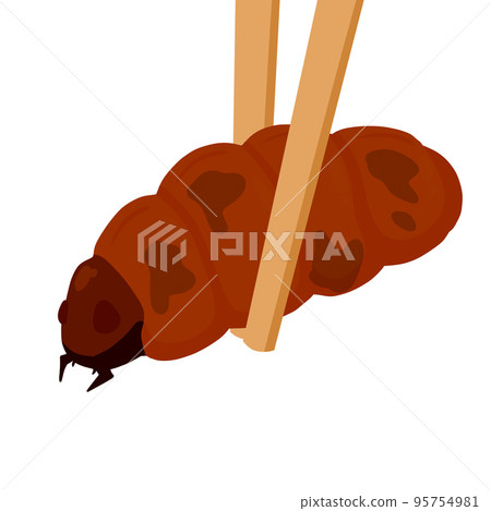 Edible larva. Eating caterpillar with chopsticks. Asian snack and street fast food. Edible larva. Eating caterpillar with chopsticks. Asian snack and street fast food. 95754981