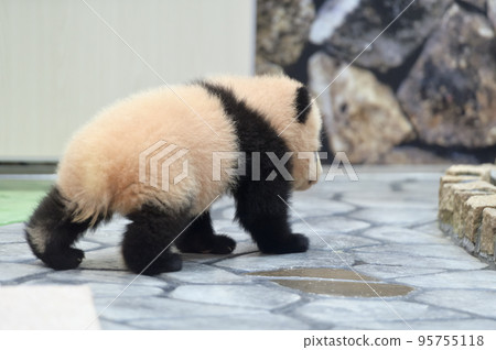 由比濱 125 歲 由比濱 125 歲 95755118