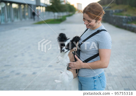 Happy caucasian woman walking with a dog in a backpack. Papillon Spaniel Continental in a sling. Happy caucasian woman walking with a dog in a backpack. Papillon Spaniel Continental in a sling. 95755318