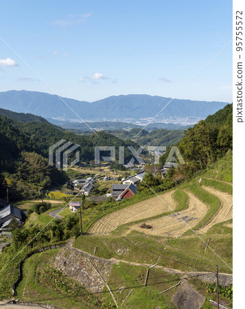 View of Asuka Village's rice terraces and mountains from a hill View of Asuka Village's rice terraces and mountains from a hill 95755572