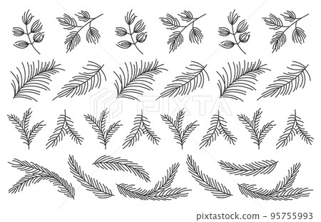 Fir branch evergreen tree plant black line seamless pattern set. Spruce pine larch cedar winter forest needlewood holiday infinite line decorative scotch tape frame greeting card element banner 95755993