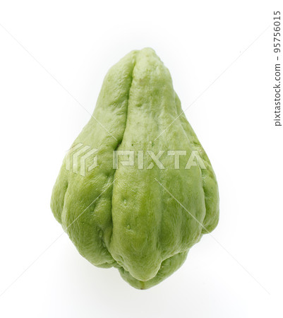 佛手瓜 95756015