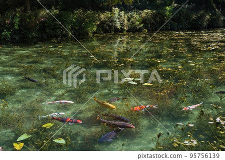Nameless pond (Monet's pond) Nameless pond (Monet's pond) 95756139