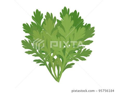 食用菊花 95756184